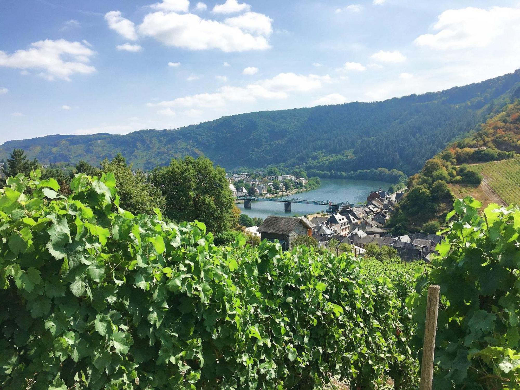 Ferienwohnungen-Traben-Trarbach Zewnętrze zdjęcie