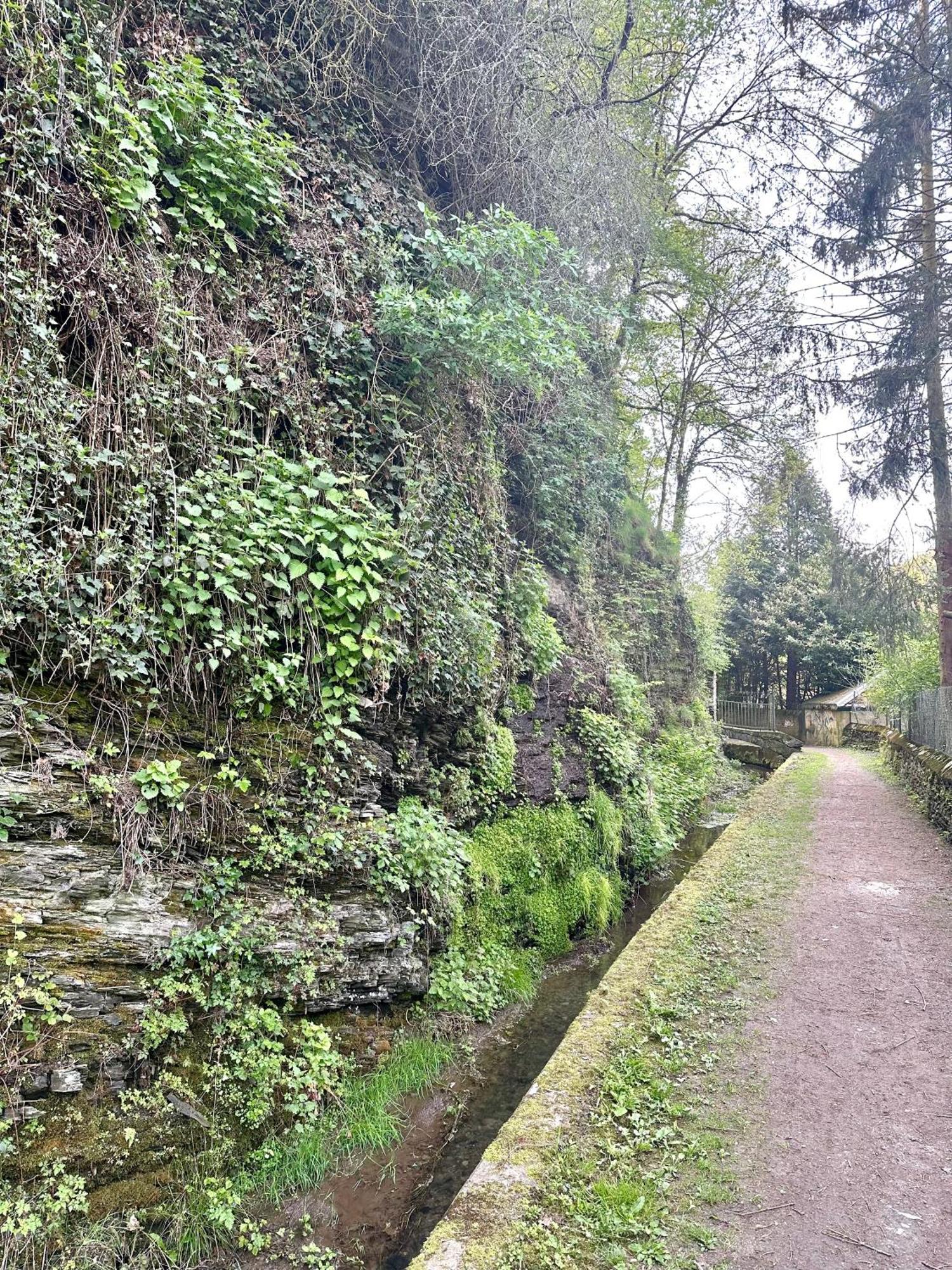 Ferienwohnungen-Traben-Trarbach Zewnętrze zdjęcie